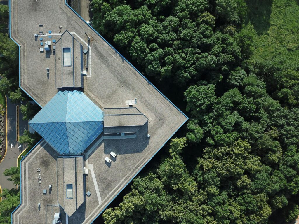 flat roof vs pitched roof: replacement cost compar - Flat Roof vs Pitched Roof: Replacement Cost Comparison 2025