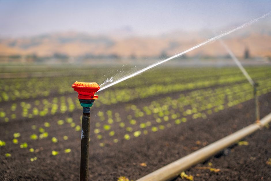 Complete Guide to Drip vs Sprinkler Installation Costs 2026